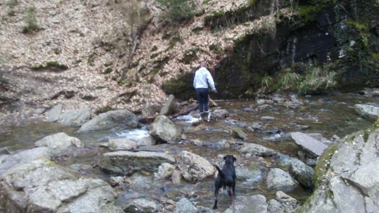 Vakantieverblijf Nature Stavelot Luaran gambar